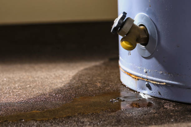 Best Residential water damage restoration  in Cross Plains, TX