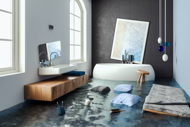 Best Water damage contractors near me  in Cross Plains, TX