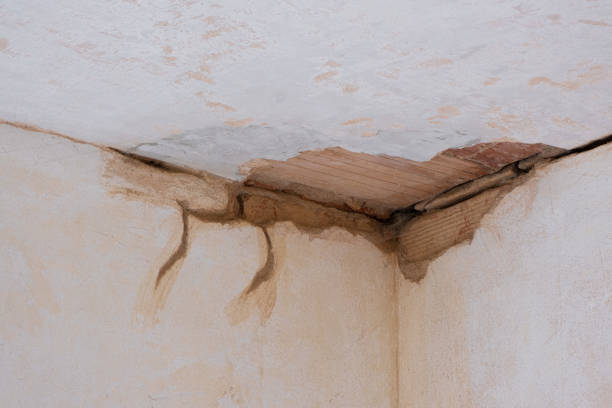  Cross Plains, TX Water damage restoration Pros