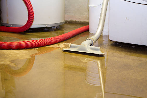 Best Local water damage restoration  in Cross Plains, TX