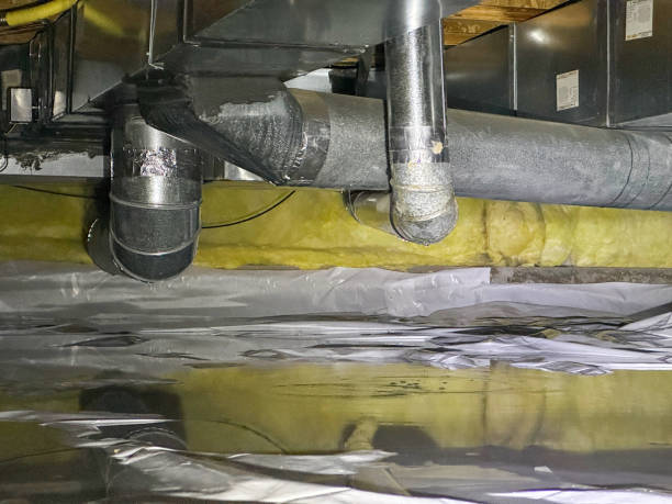 Best Flood damage cleanup  in Cross Plains, TX